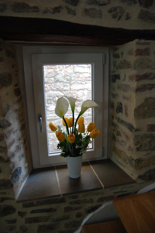 Emily House Hotel Montecerboli Buitenkant foto