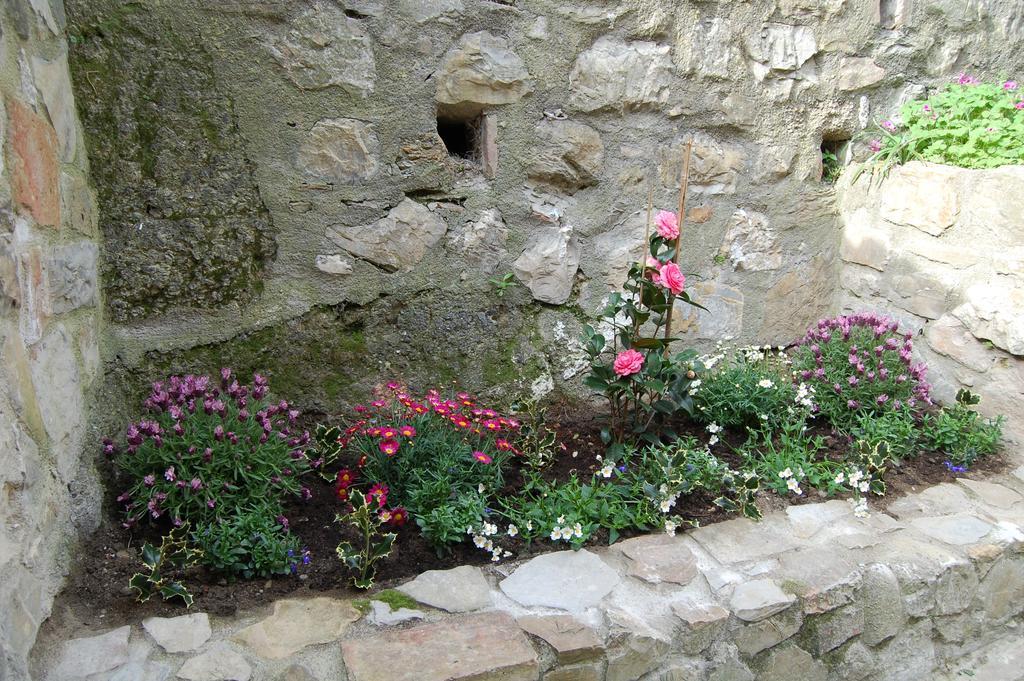 Emily House Hotel Montecerboli Buitenkant foto
